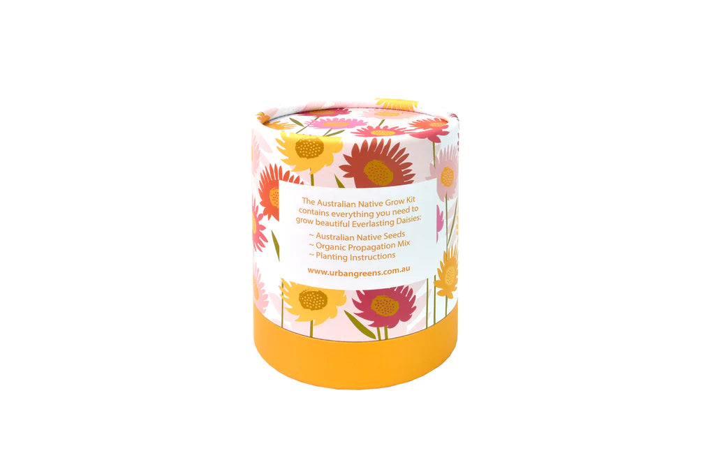AUSTRALIAN NATIVE EVERLASTING DAISIES GROW KIT