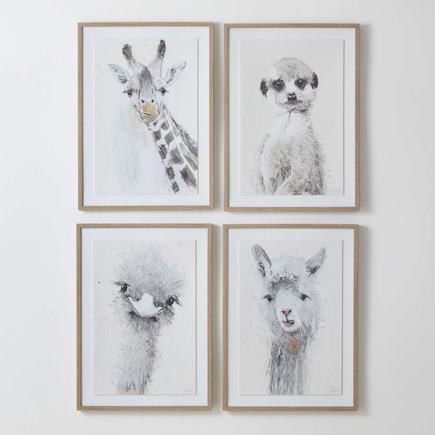 Animal Wall Art