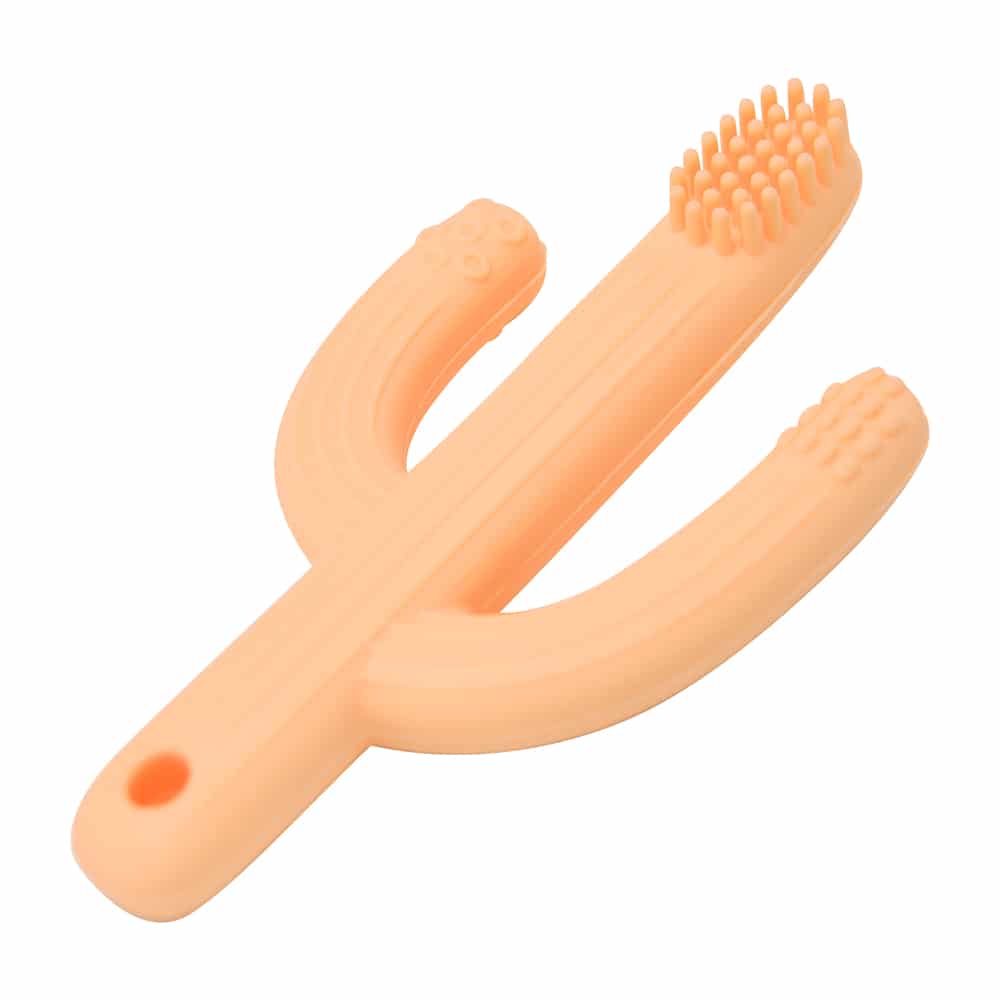 Silicone Teethers - Cactus