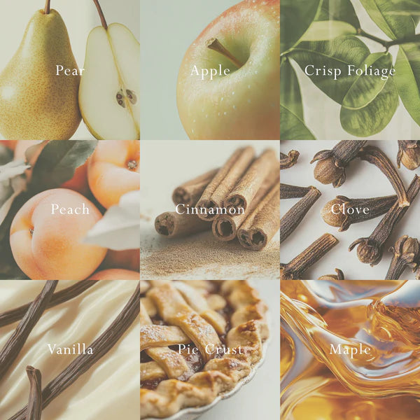 Italian Pear Car Diffuser - Fragrance Disc Refill