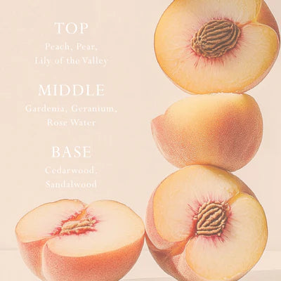 PEACH DELIGHT REPAIRING HAND & BODY WASH