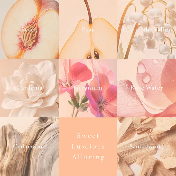 Peach Delight Car Diffuser - Fragrance Disc Refill