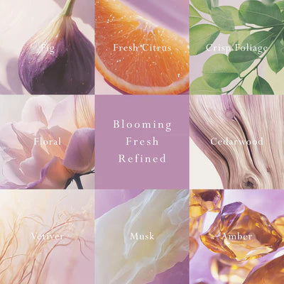 Primavera Fig Car Diffuser - Fragrance Disc Refill
