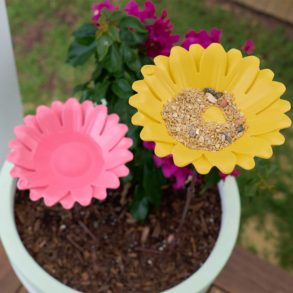 BIRD BATH BAMBOO SUNFLOWER - PINK