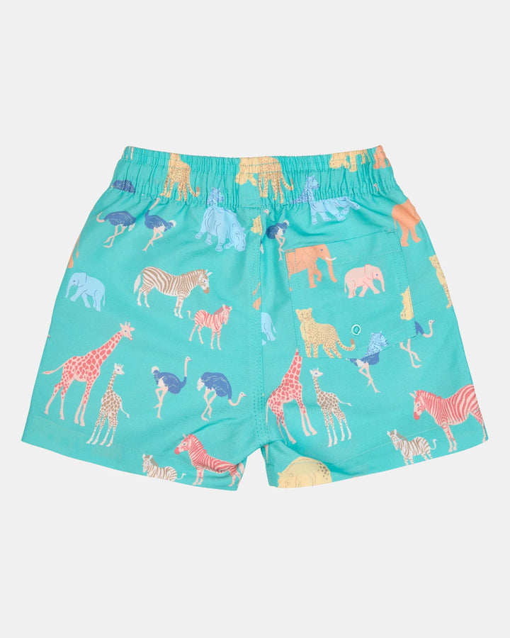 Swim Boardies Splash - Congo Seagrass