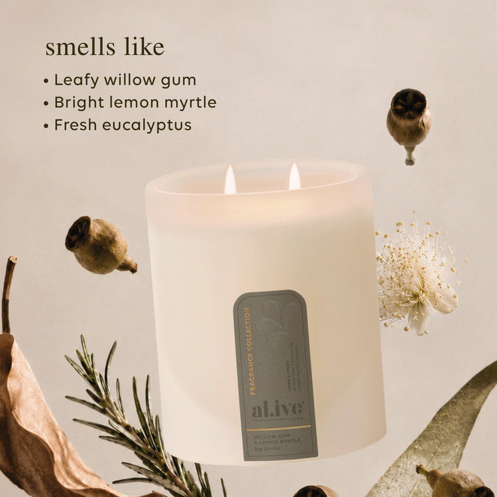 soy candle - willow gum & lemon myrtle