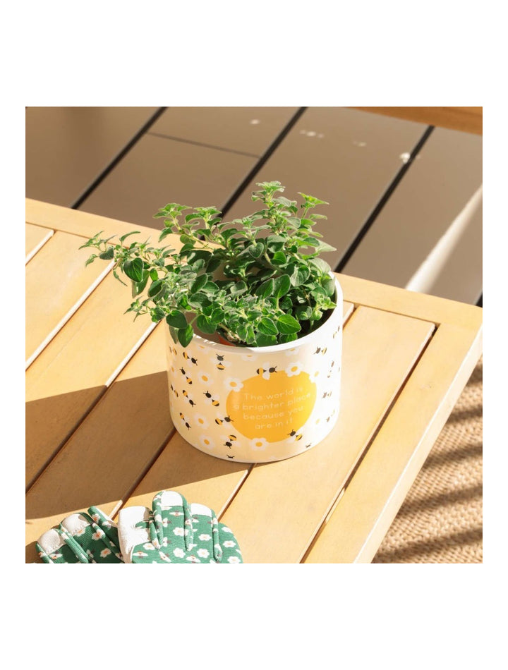 Home Grown Bee Plant Pot
