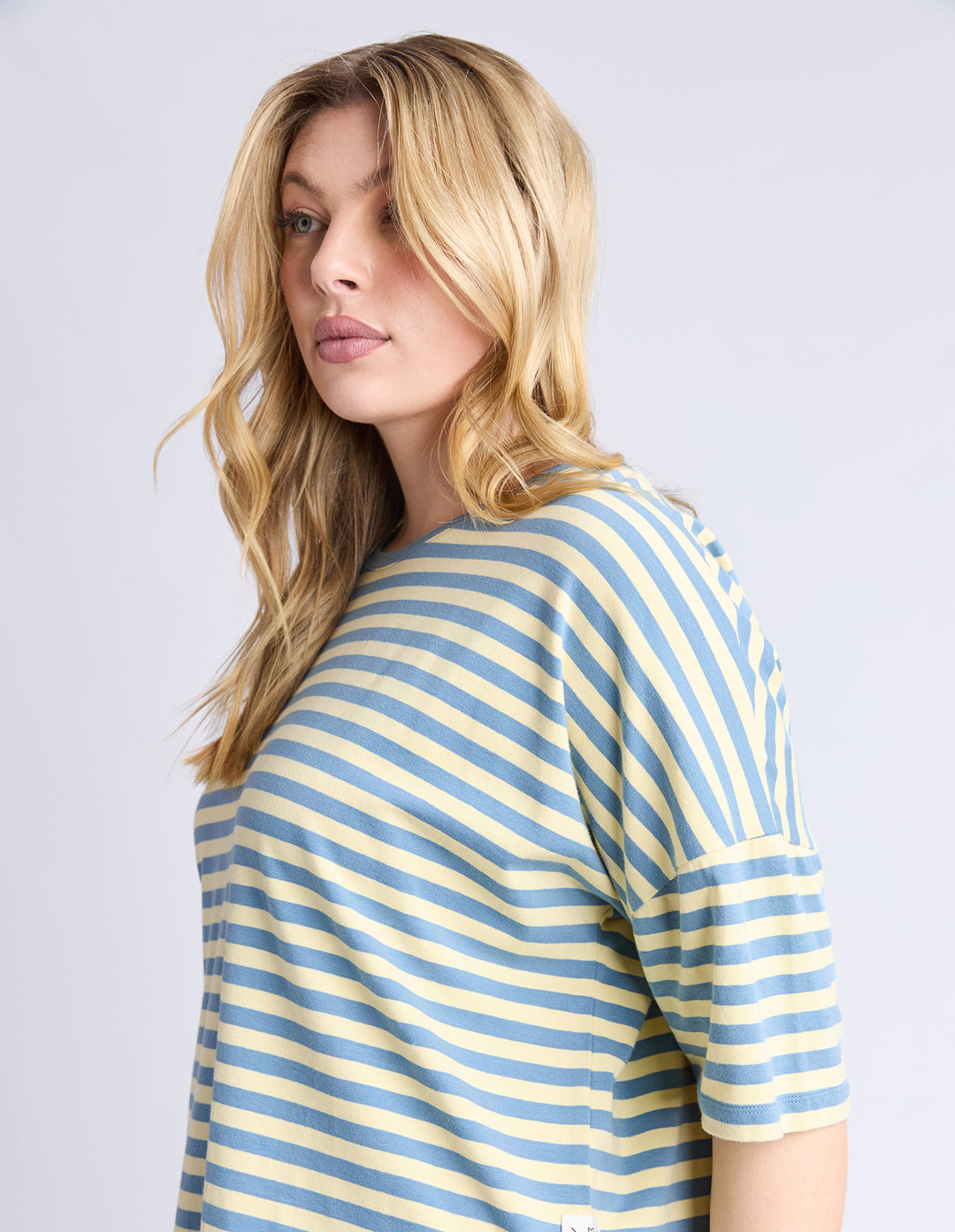 Lauren Stripe Short Sleeve Tee - BLUE SHADOW & BANANA STRIPE