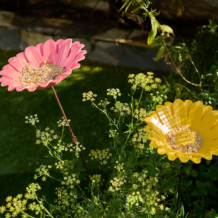 BIRD BATH BAMBOO SUNFLOWER - PINK