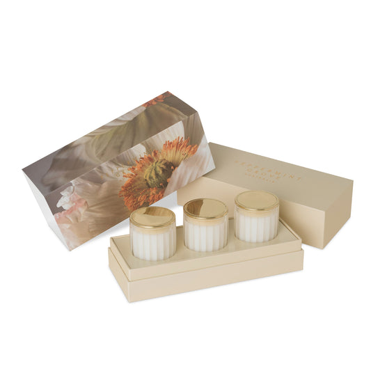 In Bloom Mini Soy Candle Trio