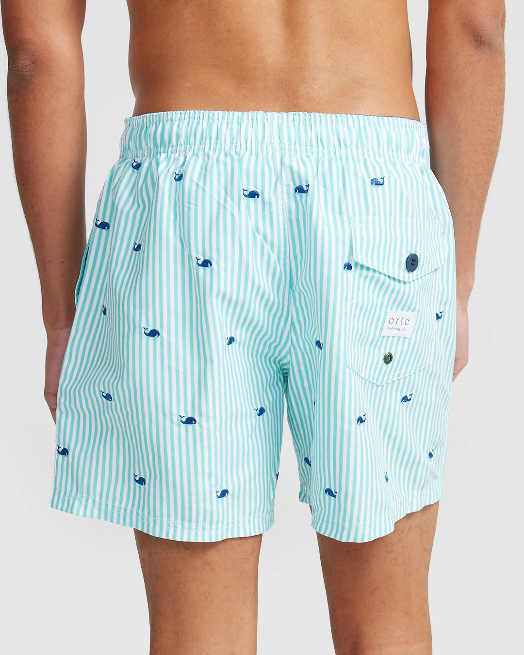 Fowlers Green Swim Shorts